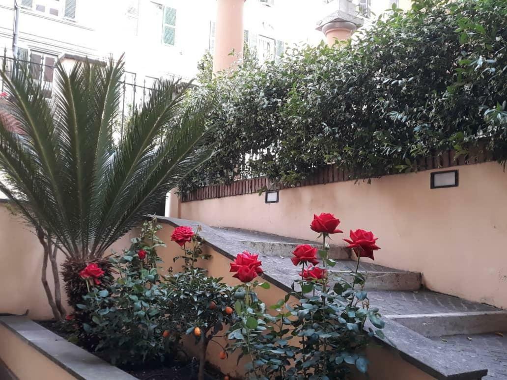 Pensión Rosa Roma